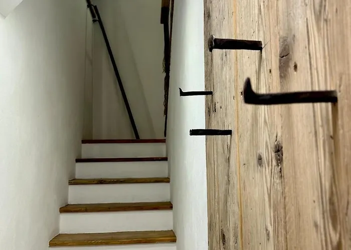 Experience - * Venas